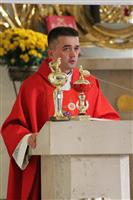 Pokaż zdjęcie w powiększeniu Gołębie zdjęcie